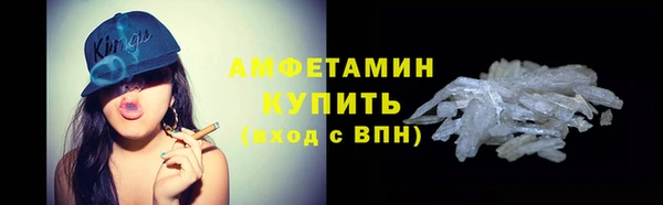 молекула духа Богородицк