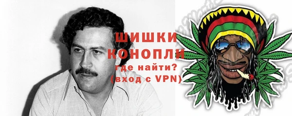молекула духа Богородицк