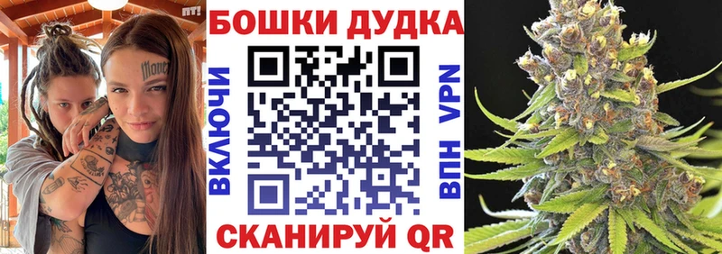 Шишки марихуана план  Шиханы 